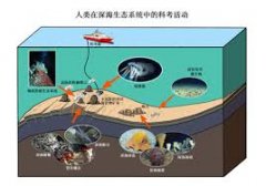 <b>家庭、户外野餐仍是贸易场合</b>